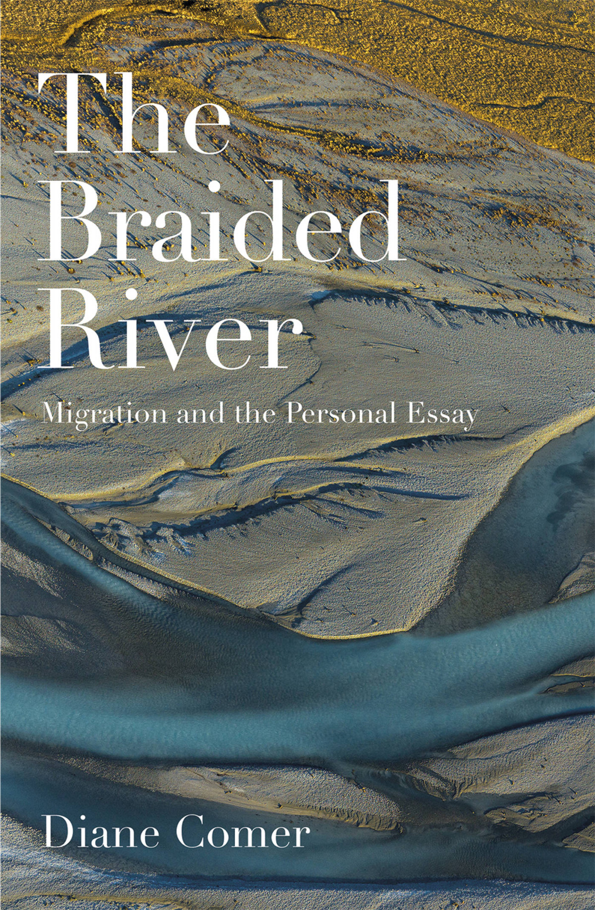 The Braided River Diane Comer