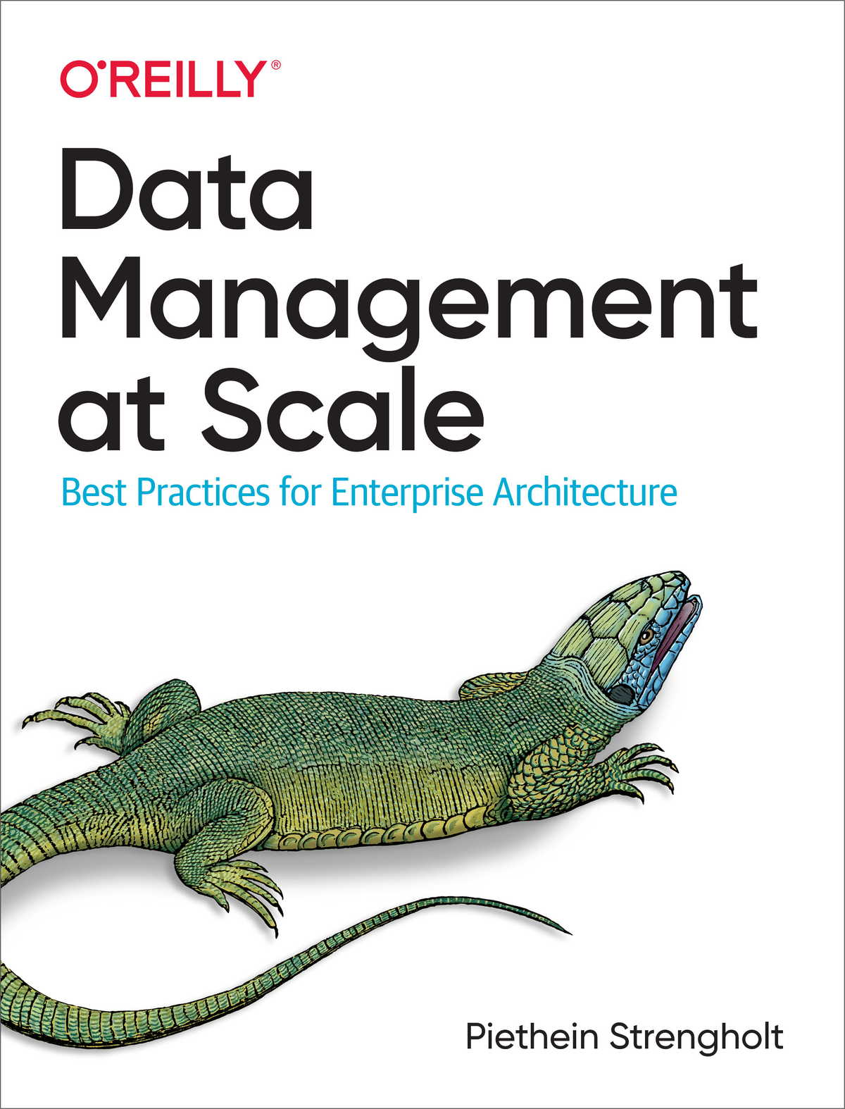 Data Management At Scale Piethein Strengholt