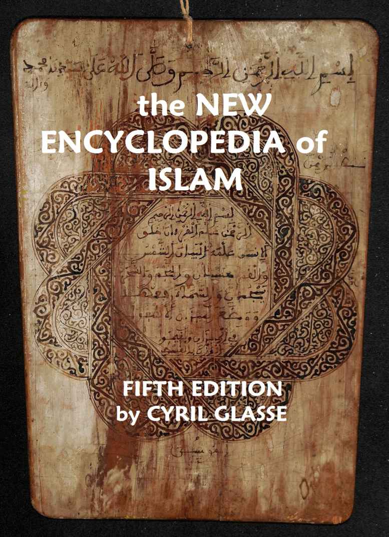 The New Encyclopedia Of Islam Fifth Edition Cyril Glasse