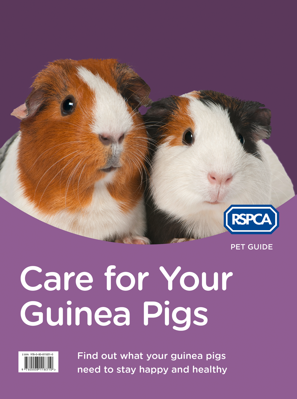 Care For Your Guinea Pigs Rspca Pet Guide Rspca