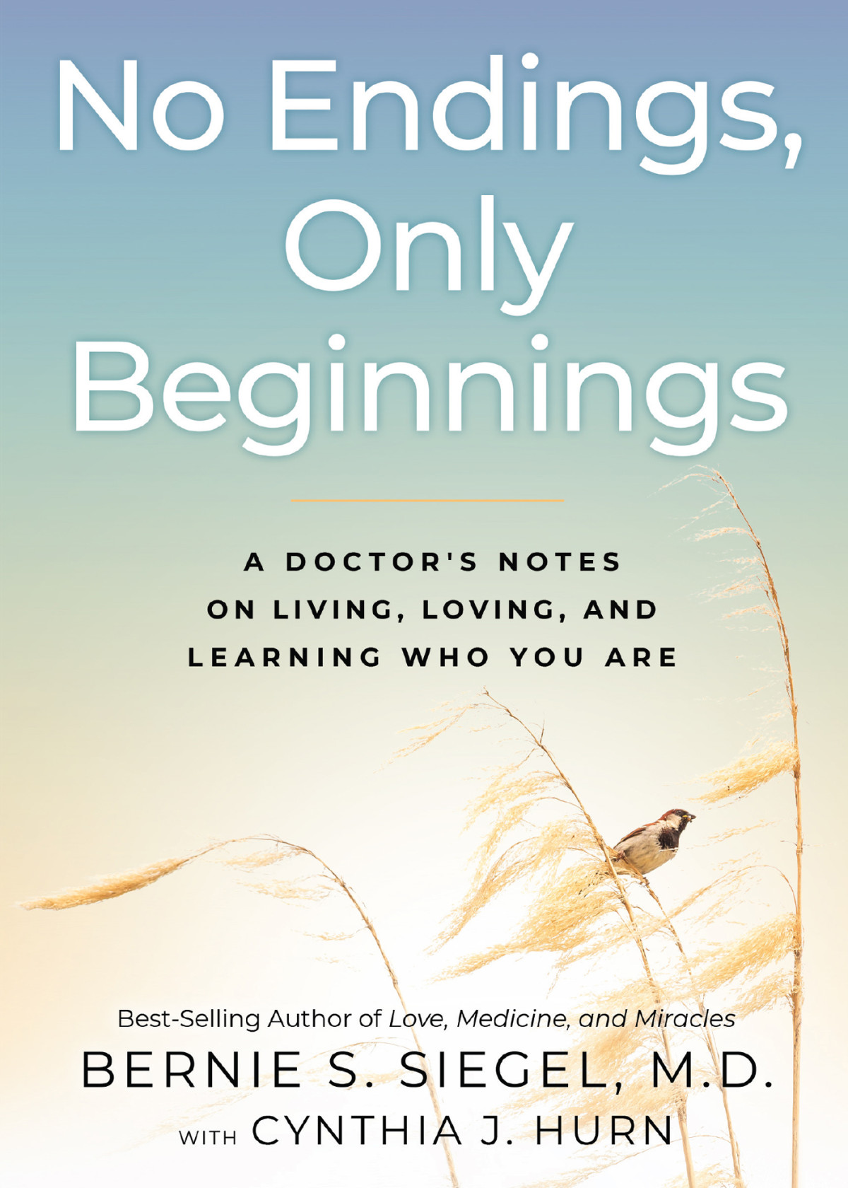 No Endings Only Beginnings Bernie S Siegel Cynthia J Hurn