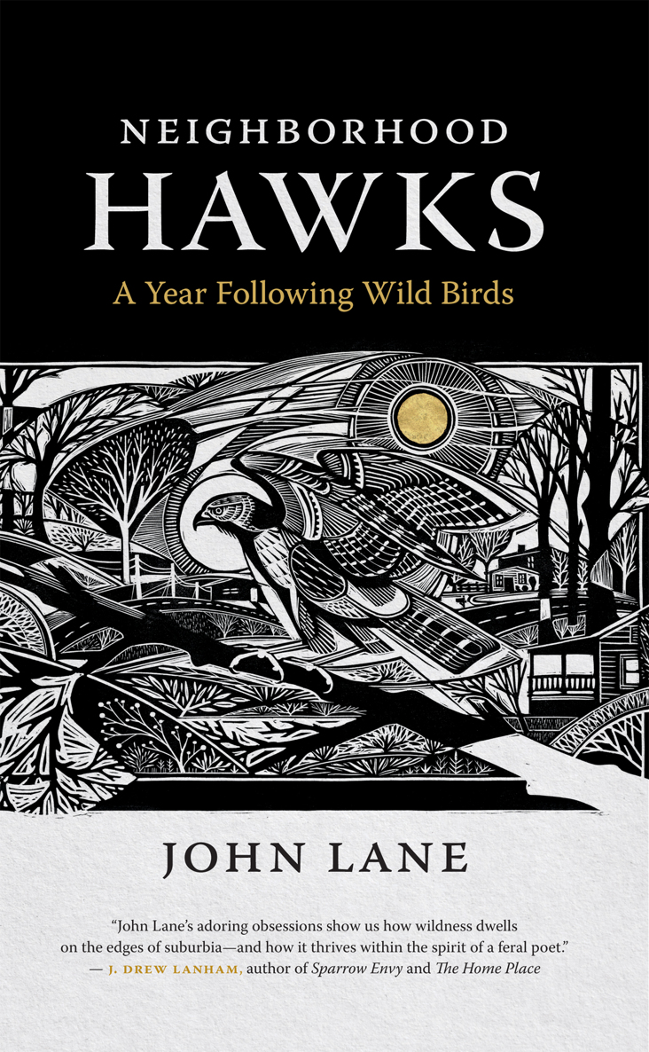 Neighborhood Hawks John Lane