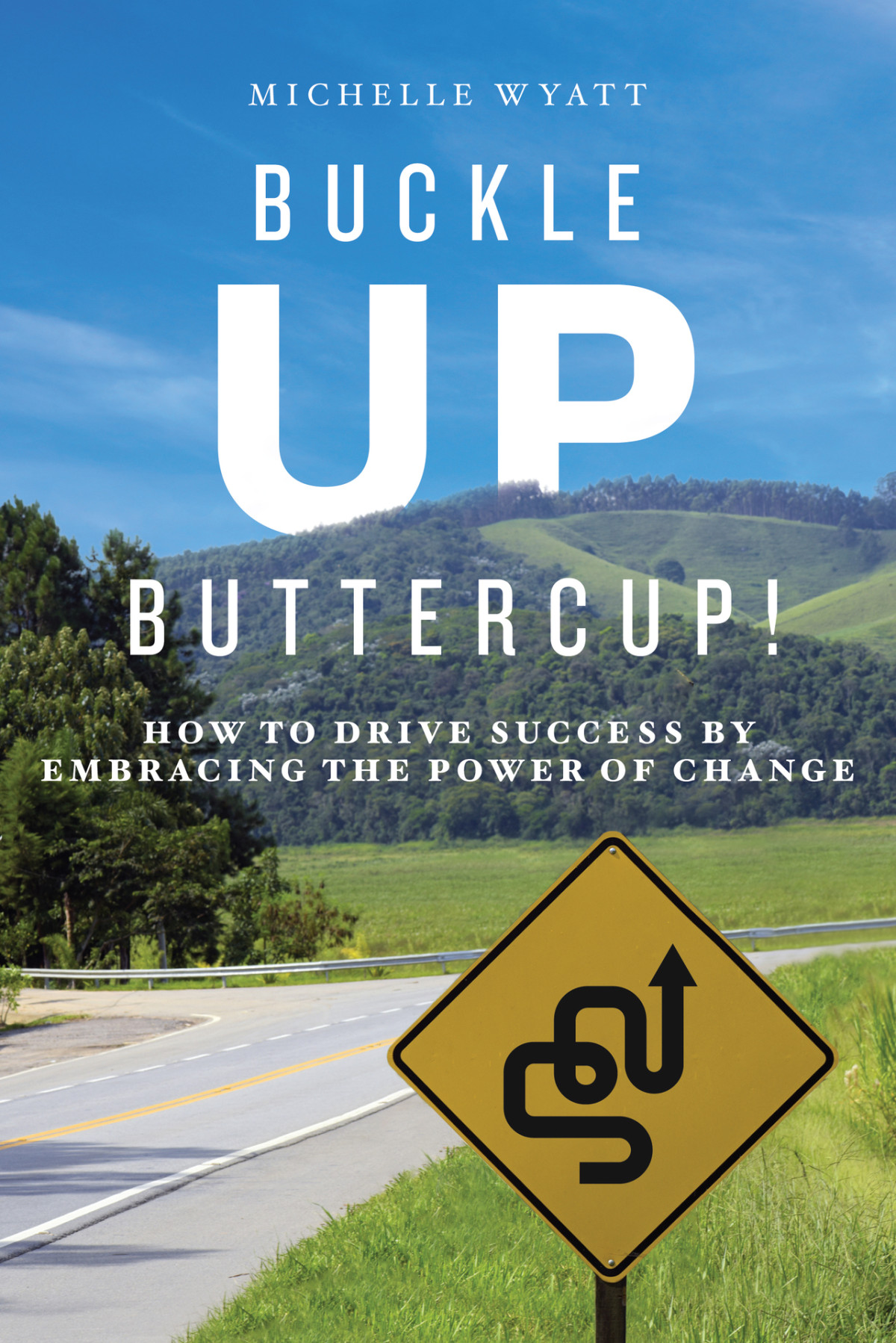 Buckle Up Buttercup How To Drive Success By Embracing The Power Of Change Wyatt