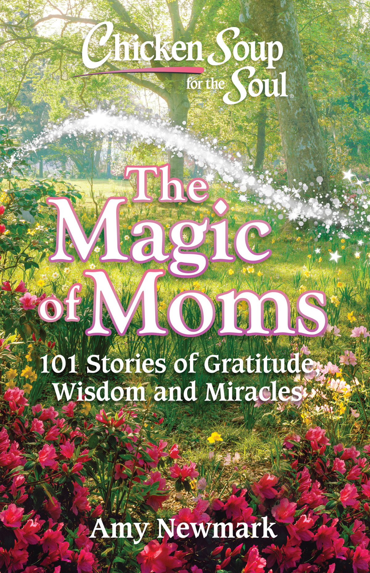 Chicken Soup For The Soul 101 Stories Of Gratitude Wisdom And Miracles Amy Newmark
