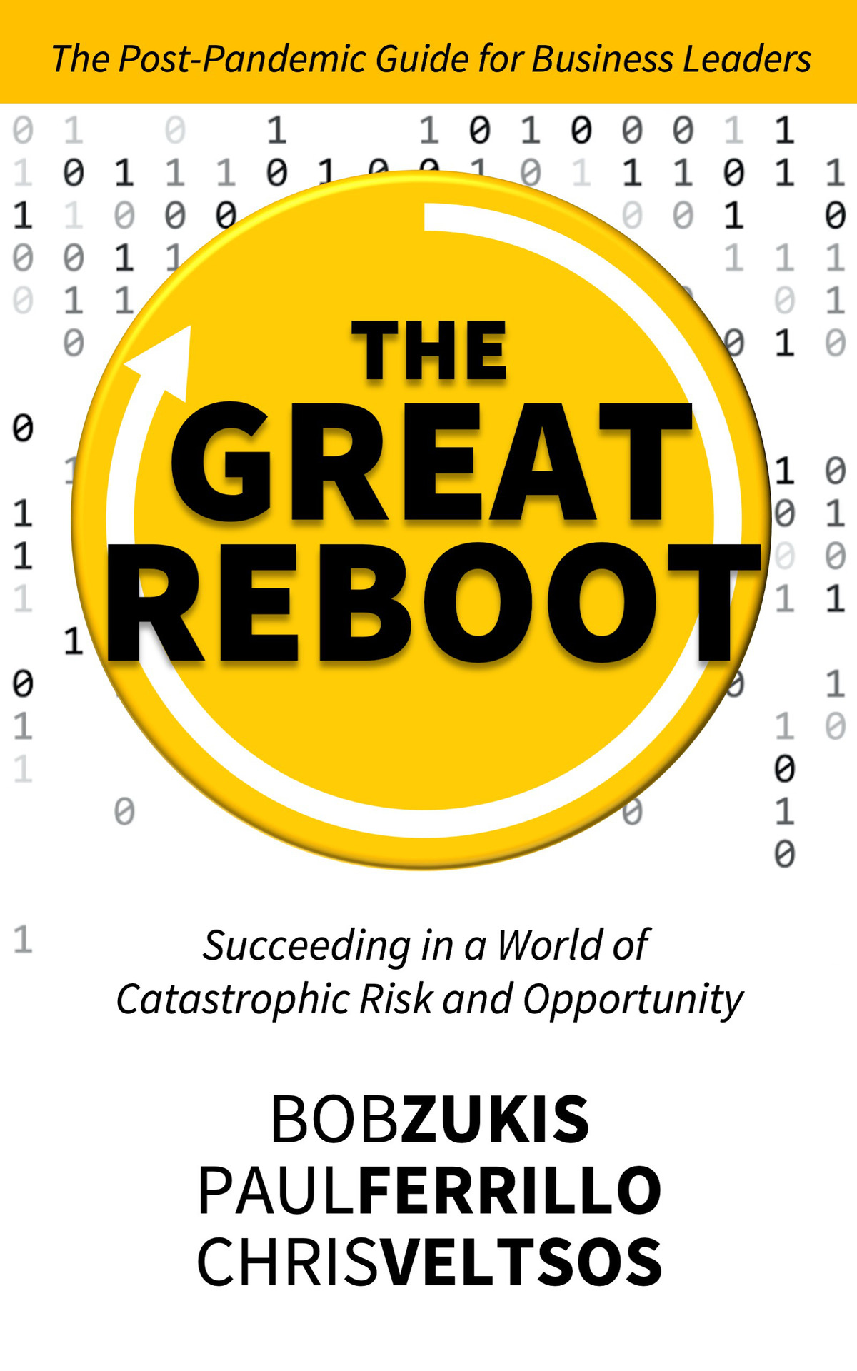 The Great Reboot Succeeding In A World Of Catastrophic Risk And Opportunity Veltsos