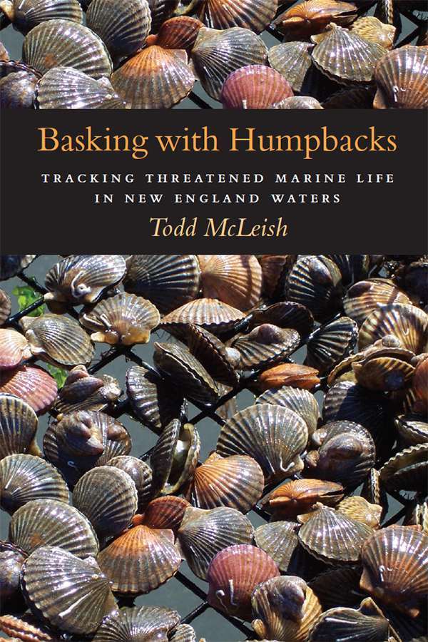 Basking With Humpbacks Tracking Threatened Marine Life In New England Waters Todd Mcleish