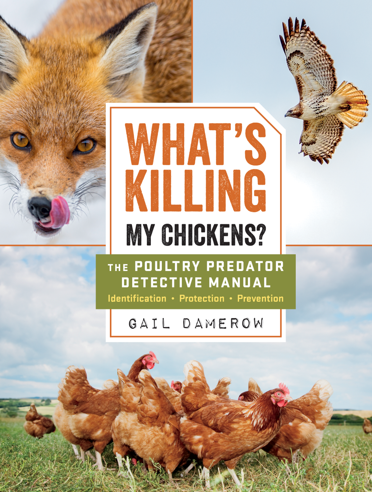 Whats Killing My Chickens Gail Damerow