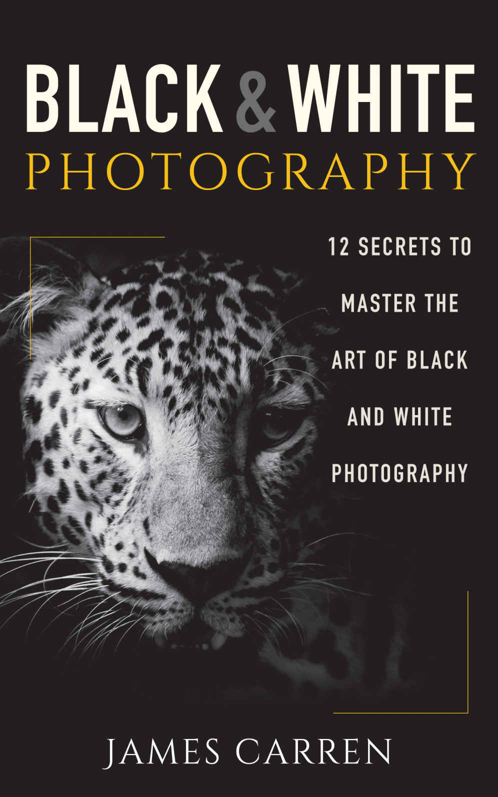 Photography Black And White Photography 12 Secrets To Master The Art Of Black And White Photography Photography Photoshop Digital Photography Photography Books Photography Magazines James Carren