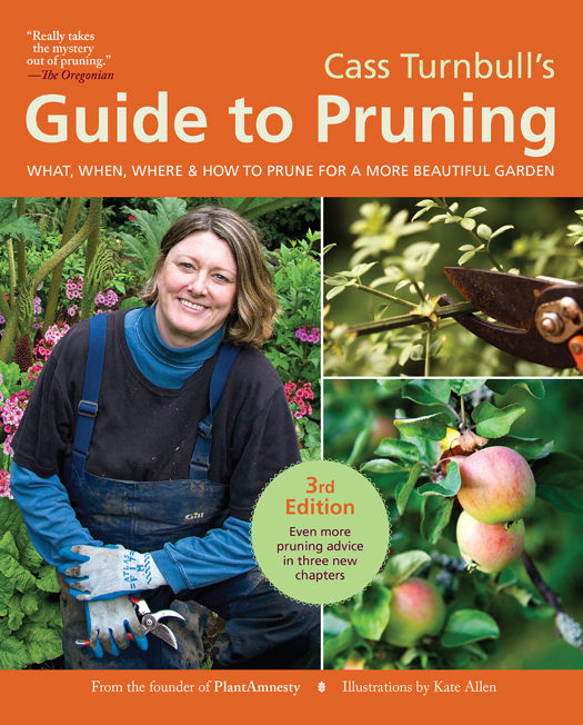 Cass Turnbulls Guide To Pruning 3rd Edition What When Where And How To Prune For A More Beautiful Garden Cass Turnbull