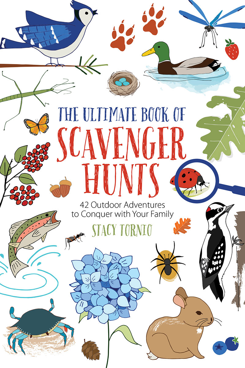 The Ultimate Book Of Scavenger Hunts Stacy Tornio