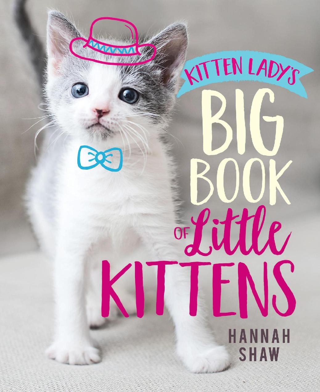 Kitten Ladys Big Book Of Little Kittens Shaw Hannah