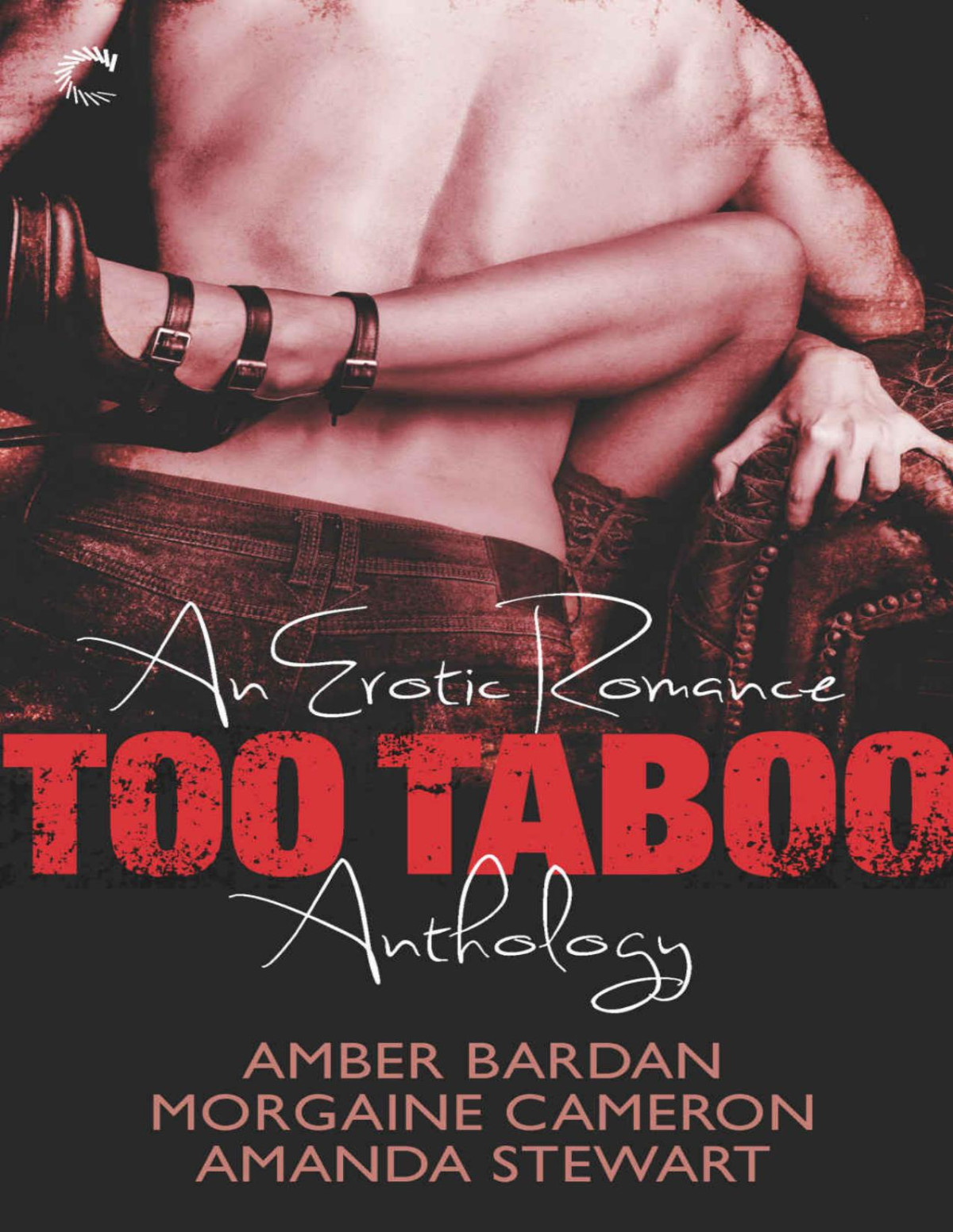 Too Taboo An Erotic Romance Anthology Absolve Metwice As Hardseduction Squad Captured Morgaine Cameron Amber Bardan Amanda Stewart