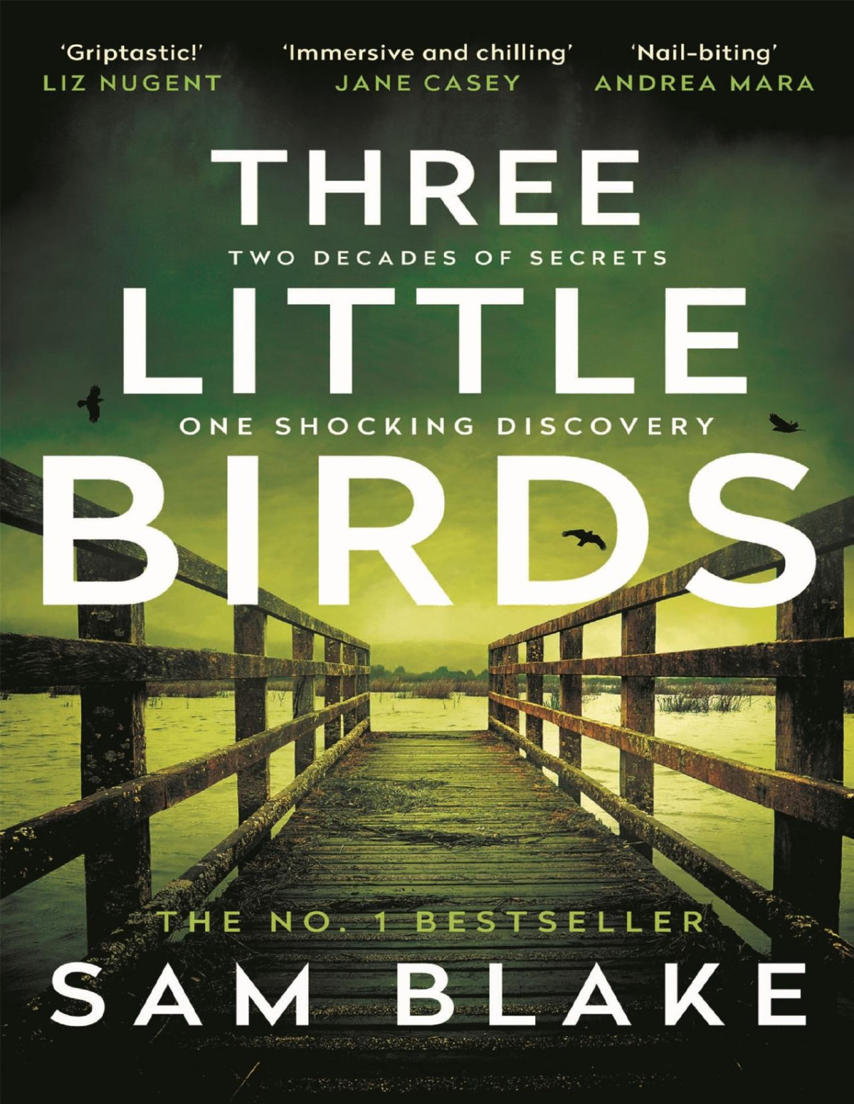 Three Little Birds The Modernday Agatha Christie Steve Cavanagh Sam Blake