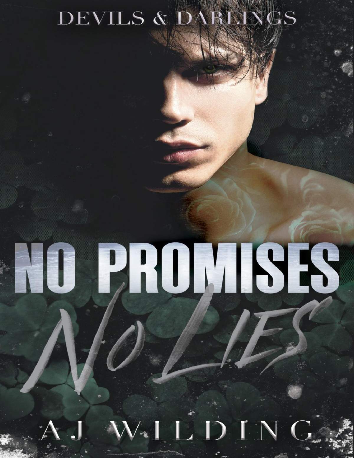 No Promises No Lies A Mafia Hockey Romance Devils Darlings Book 1 Aj Wilding