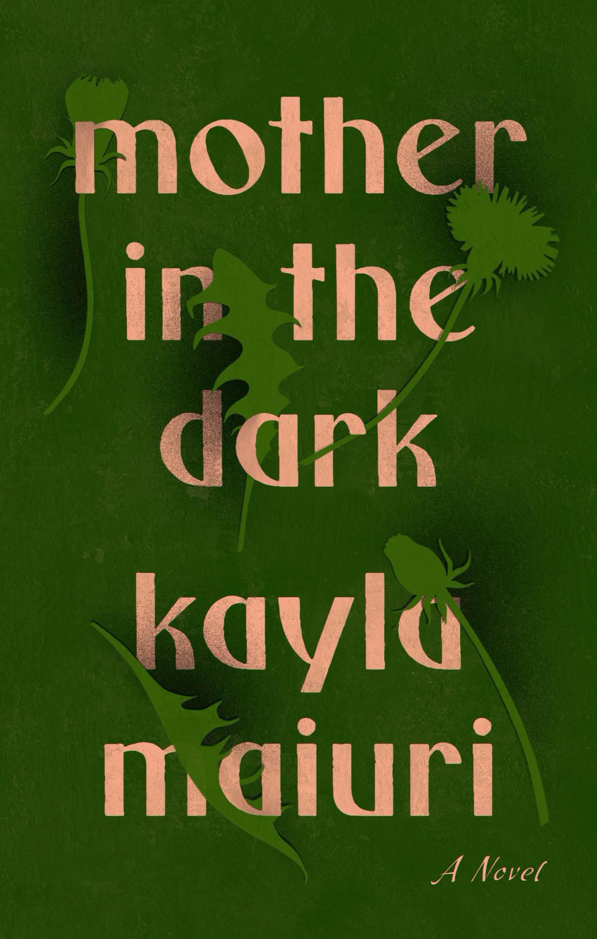 Mother In The Dark A Novel Kayla Maiuri