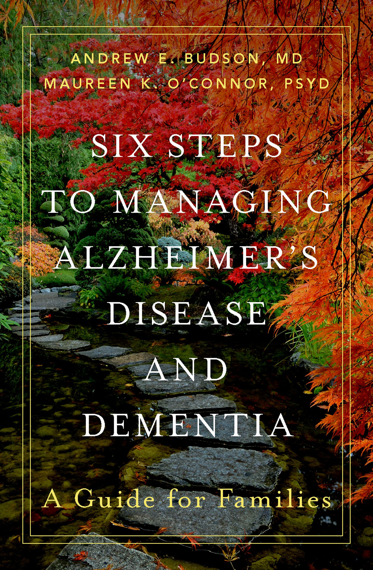 Six Steps To Managing Alzheimers Disease And Dementia Andrew E Budson Mdmaureen K Oconnor Psyd
