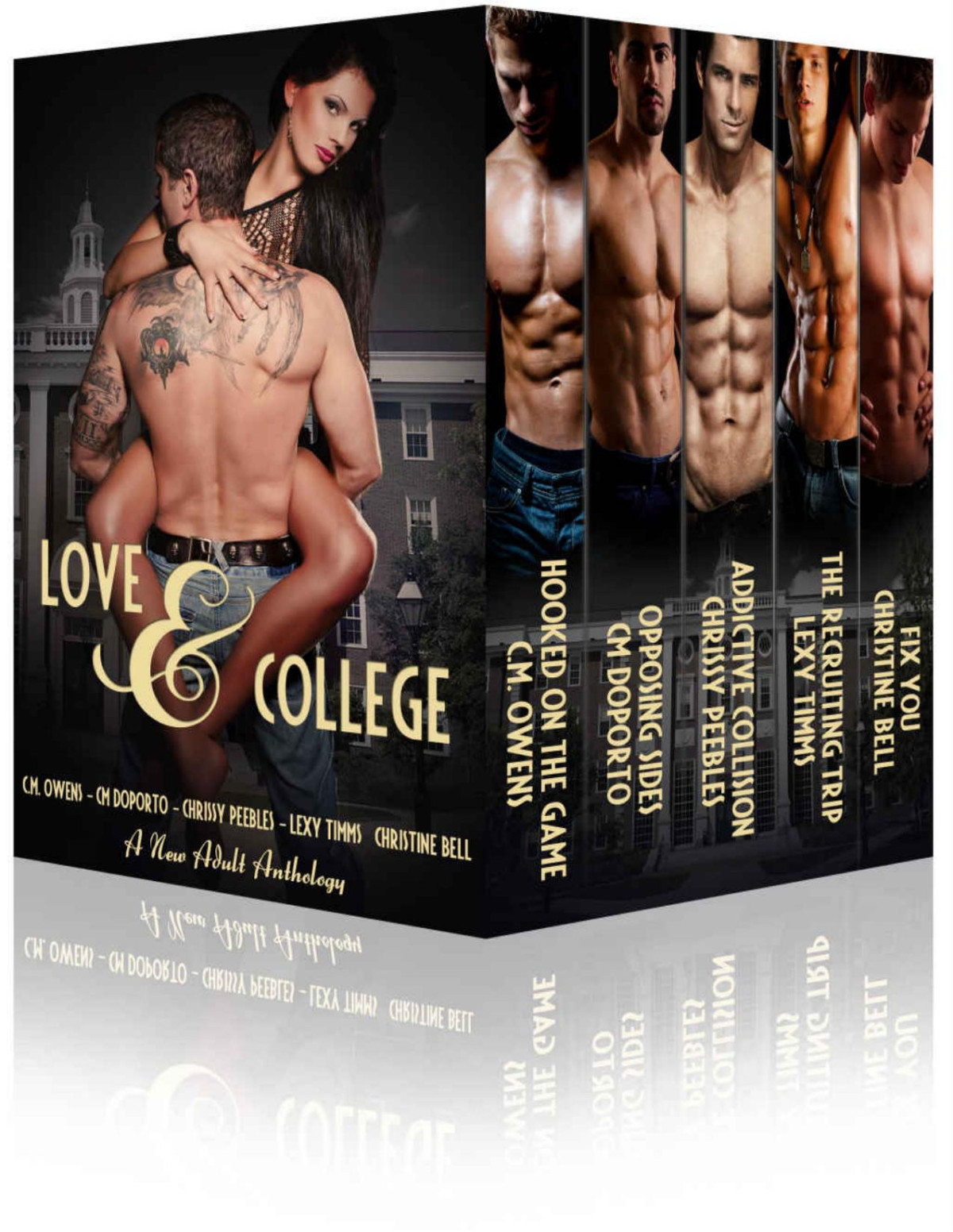 Love College New Adult College Romance Anthology Various