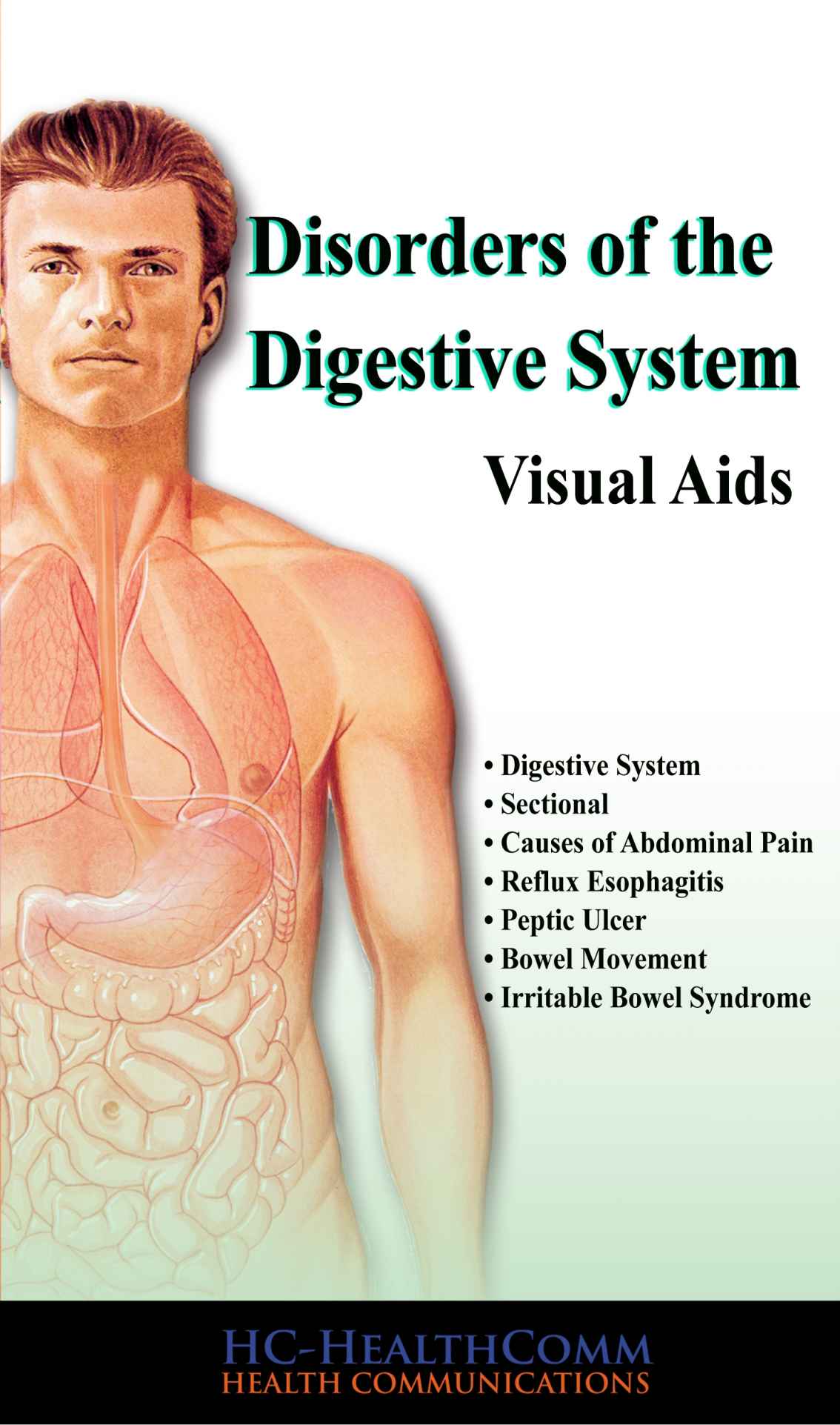 Disorders Of The Digestive System Visuald Aids Hchealthcomm