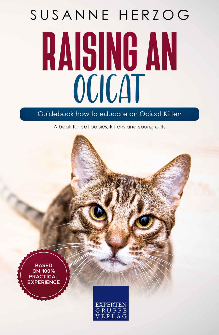 Raising An Ocicat Guidebook How To Educate An Ocicat Kitten Herzog