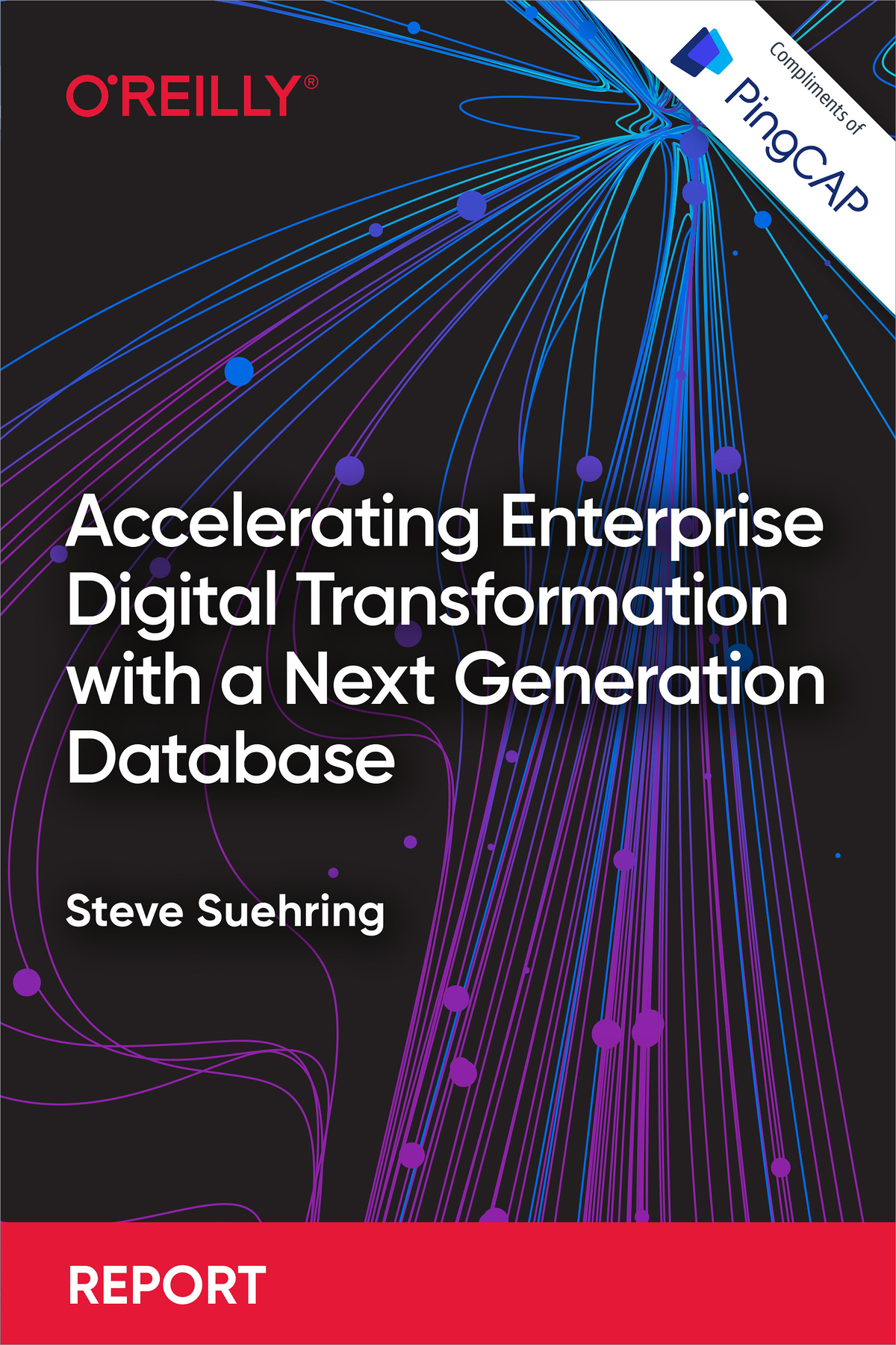 Accelerating Enterprise Digital Transformation With A Next Generation Database Steve Suehring
