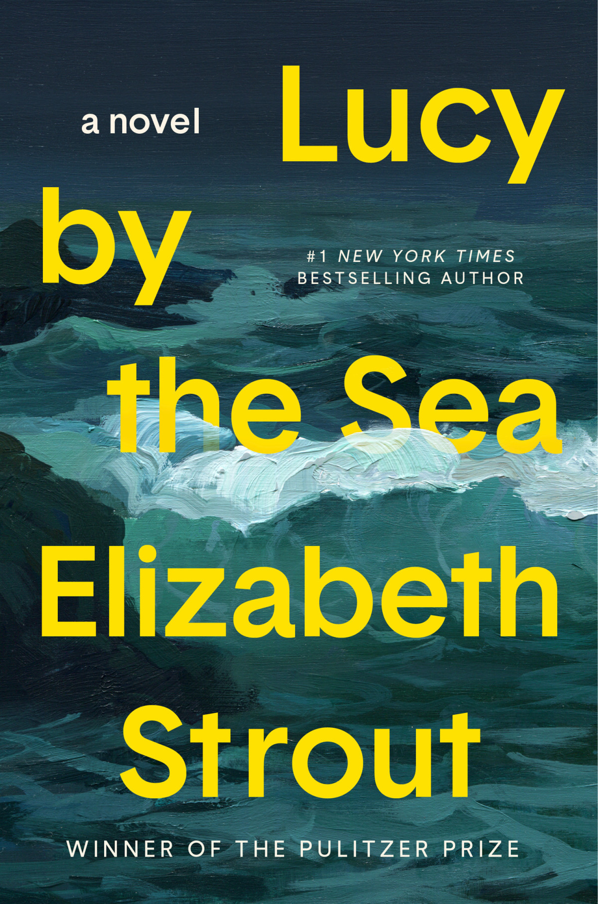 Lucy By The Sea A Novel Elizabeth Strout