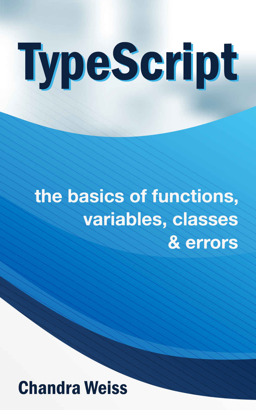 Typescript The Basics Of Functions Variables Classes Errors Weiss