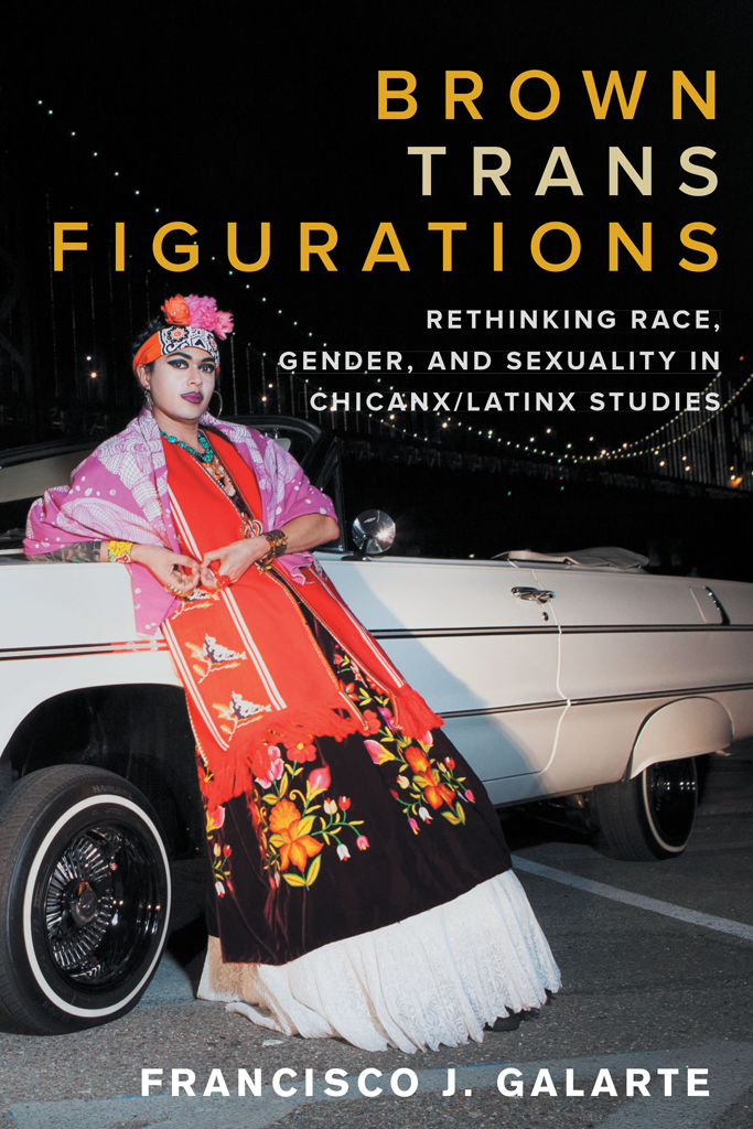 Brown Trans Figurations Francisco Galarte