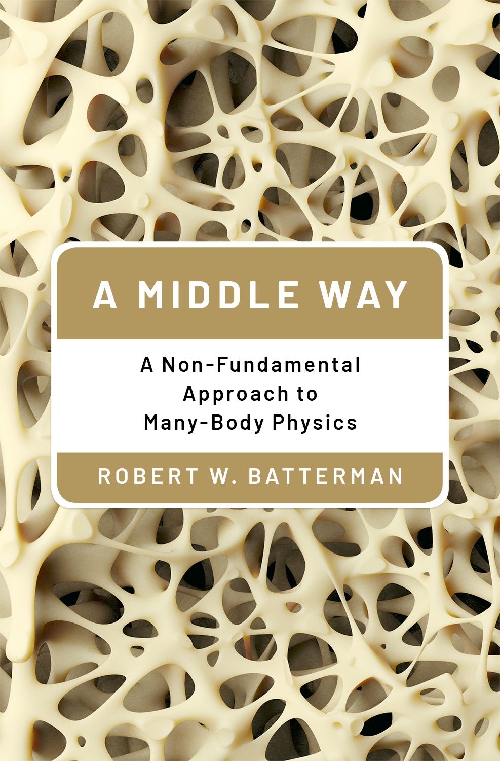 A Middle Way A Nonfundamental Approach To Manybody Physics Batterman