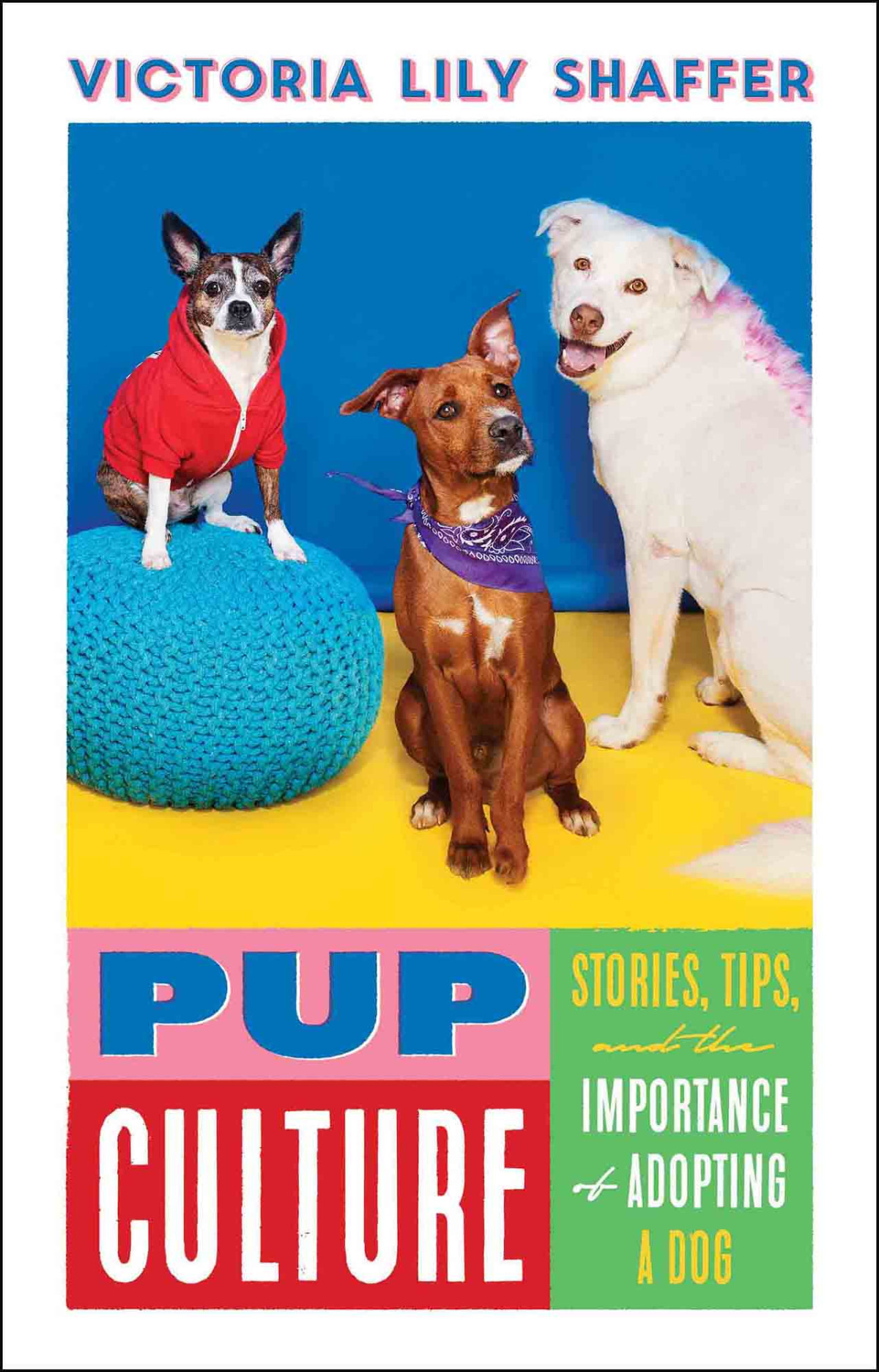 Pup Culture Stories Tips And The Importance Of Adopting A Dog Victoria Lily Shaffer