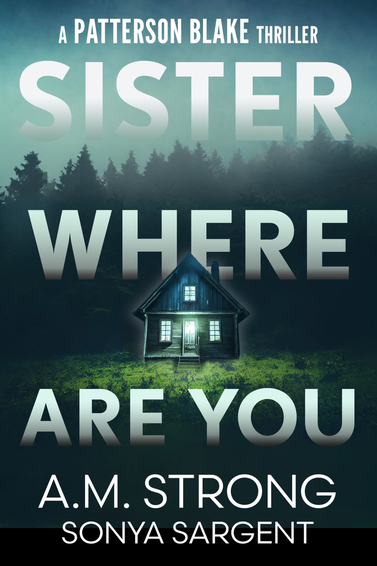 Patterson Blake Fbi Mystery Thrillers 01 Sister Where Are You Strong