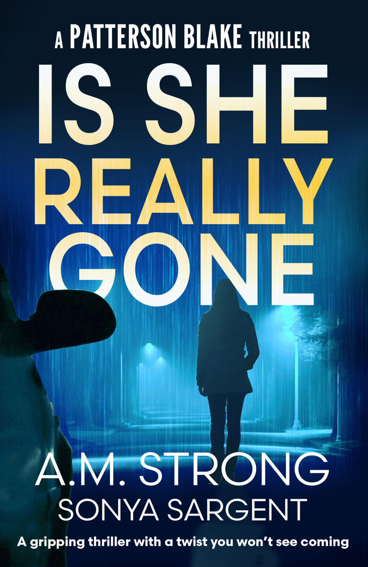 Patterson Blake Fbi Mystery Thrillers 02 Is She Really Gone Strong
