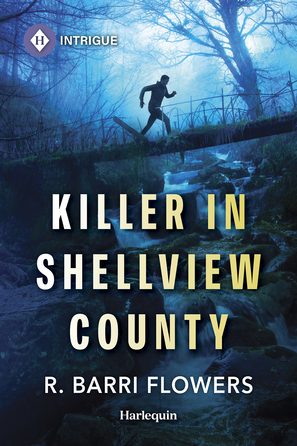 Killer In Shellview County R Barri Flowers