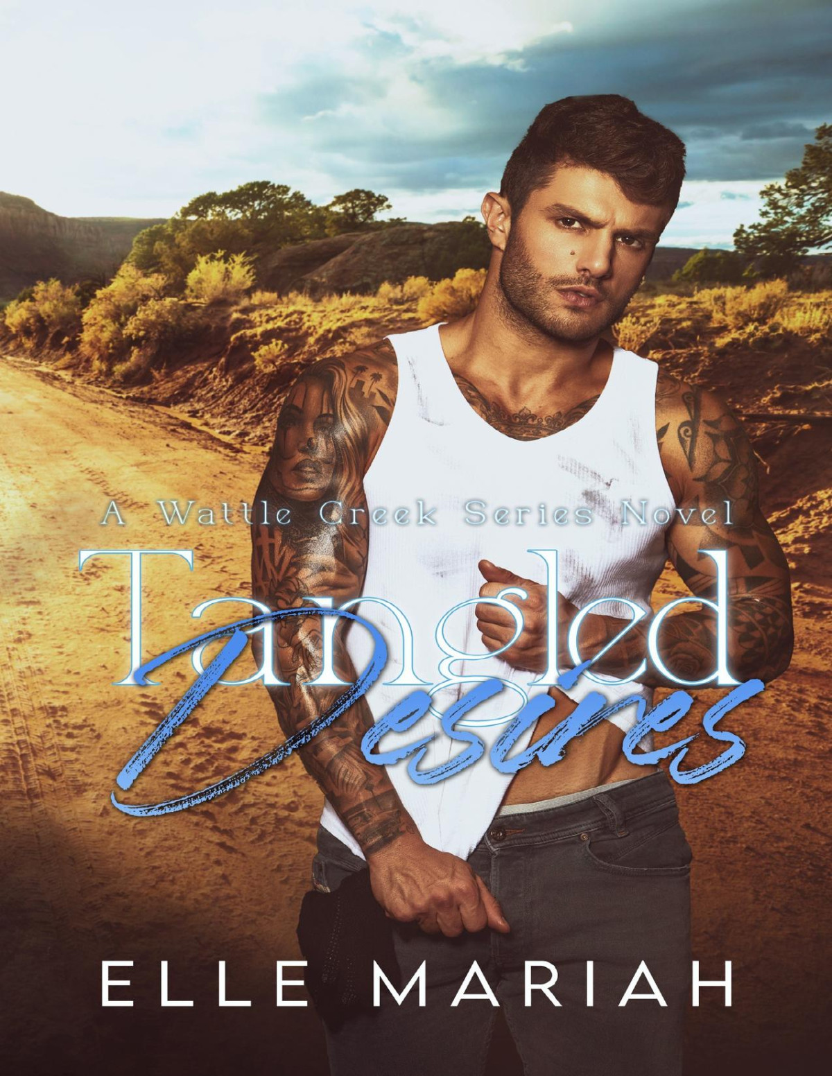 Tangled Desires A Dislike To Love Small Town Romance Elle Mariah