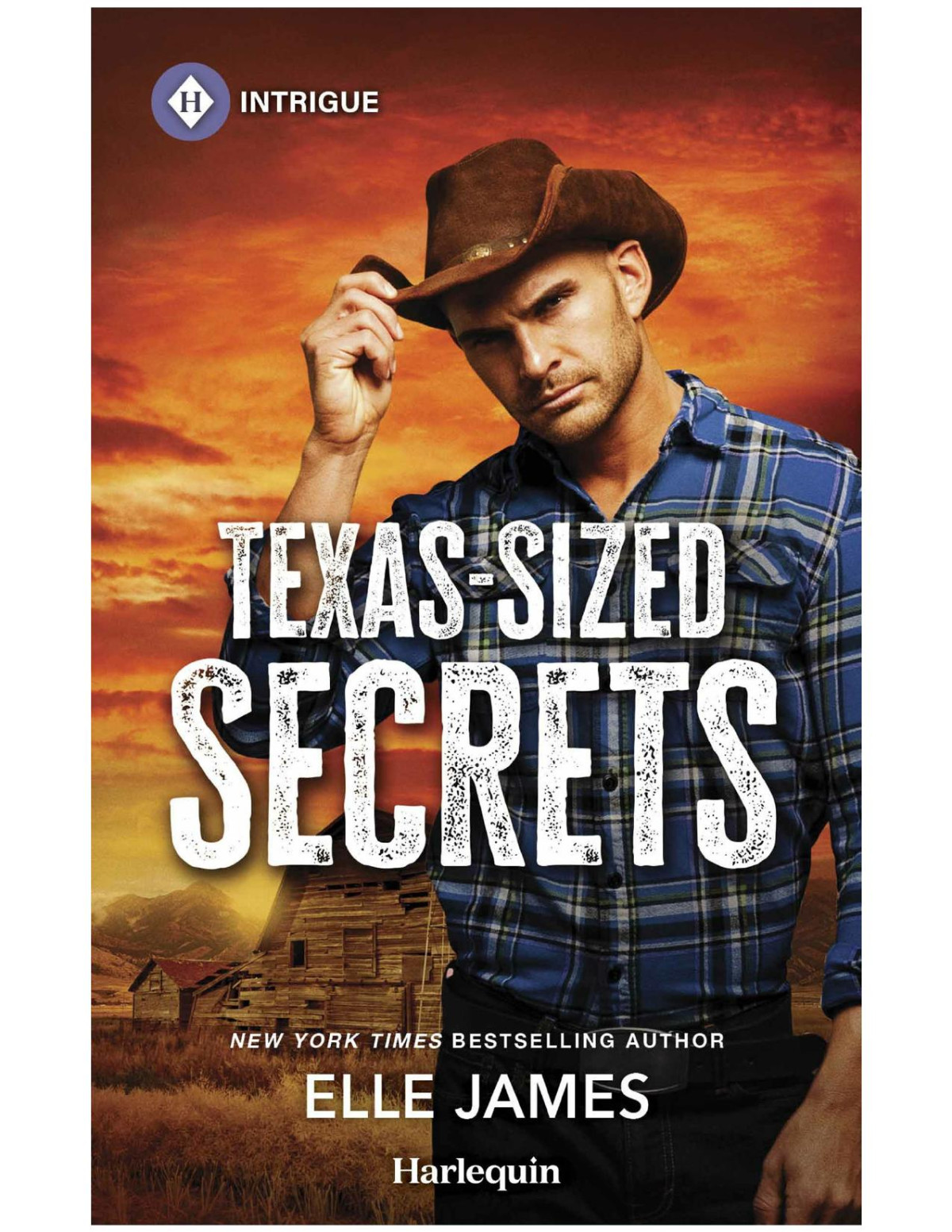 Texassized Secrets Elle James
