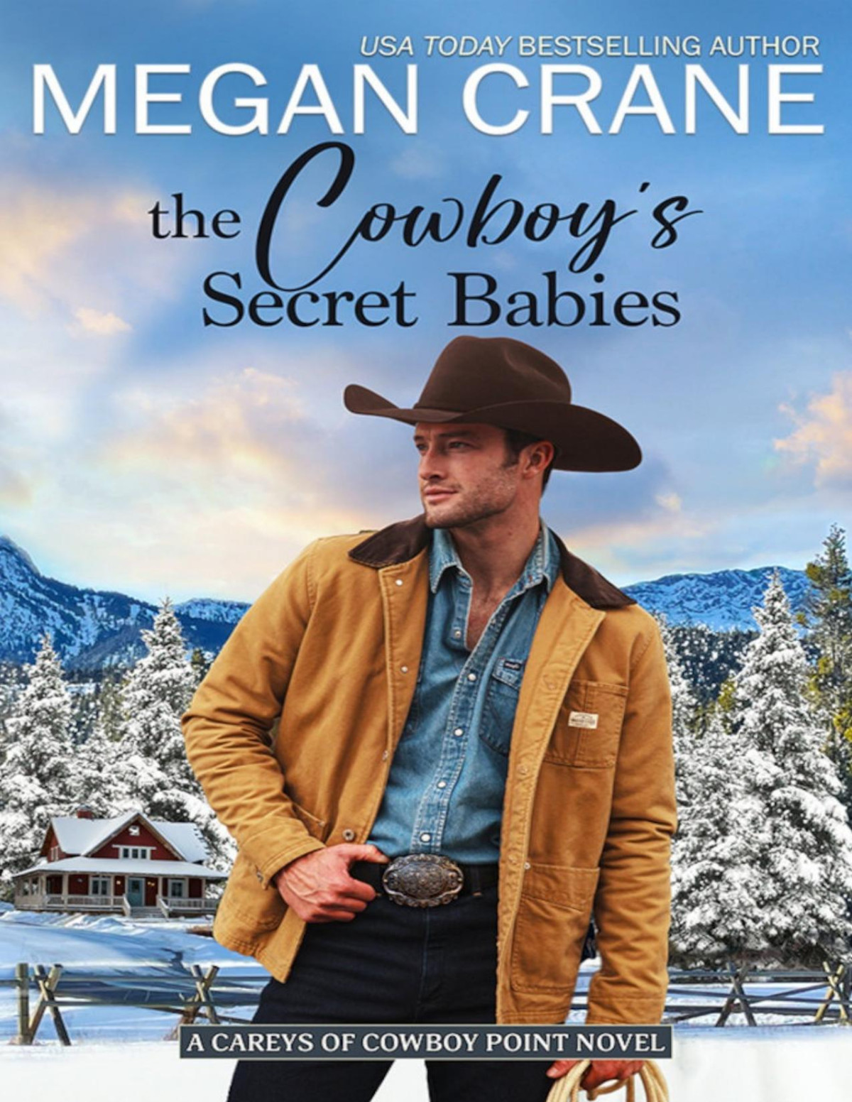 The Cowboys Secret Babies Careys Of Cowboy Point Book 03 Megan Crane