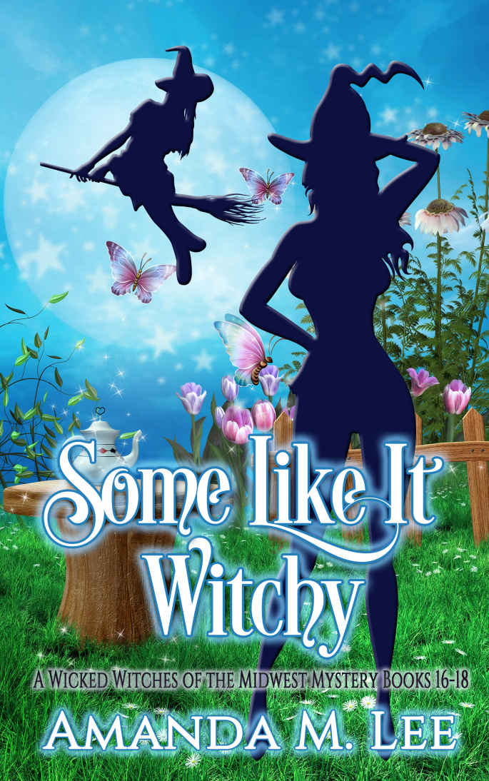 Some Like It Witchy Wicked Witches Of The Midwest Books 1618 Lee