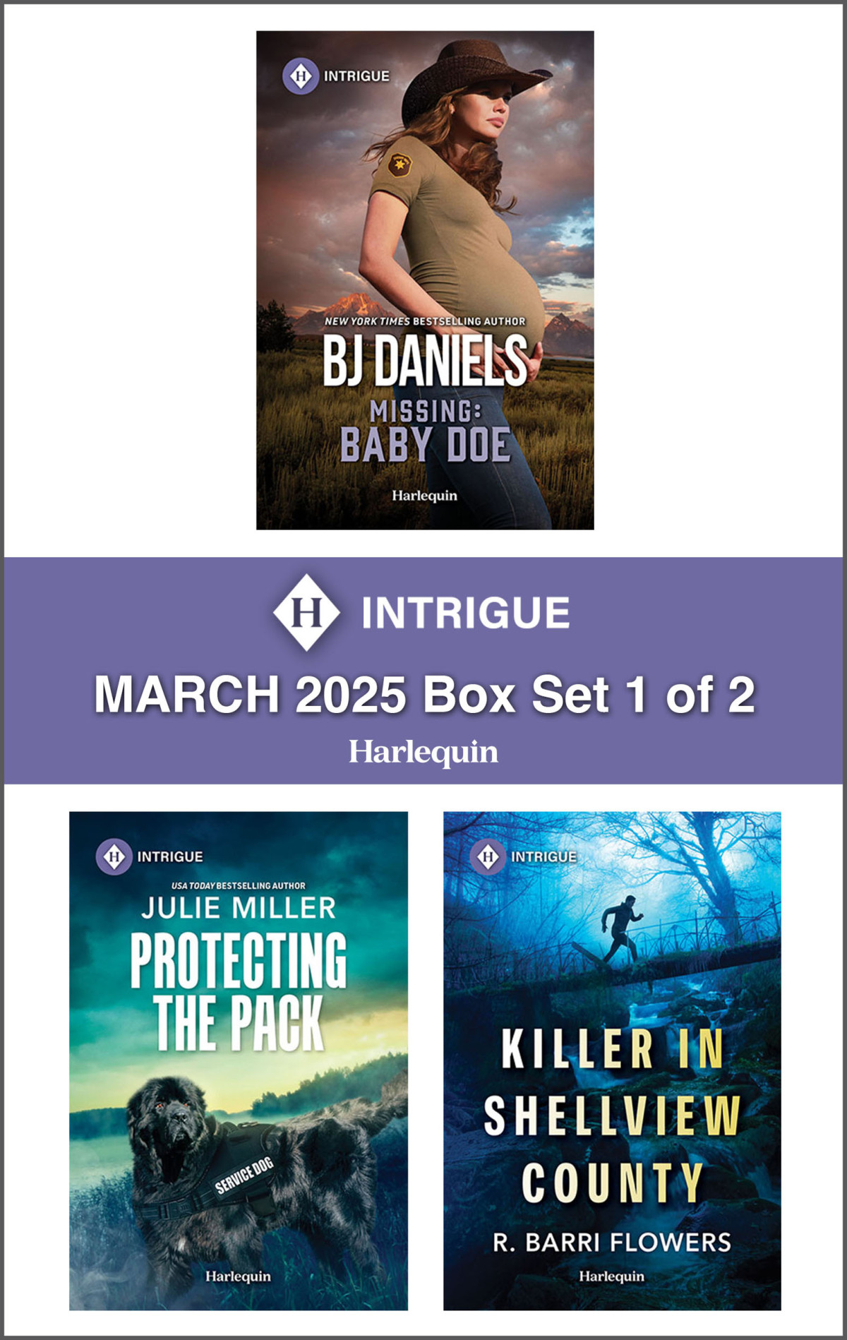 Harlequin Intrigue March 2025box Set 1 Of 2 Bj Daniels