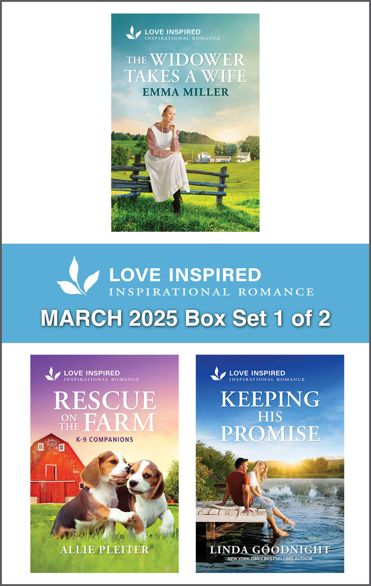 Love Inspired March 2025 Box Set 1 Of 2 Emma Miller Allie Pleiter And Linda Goodnight