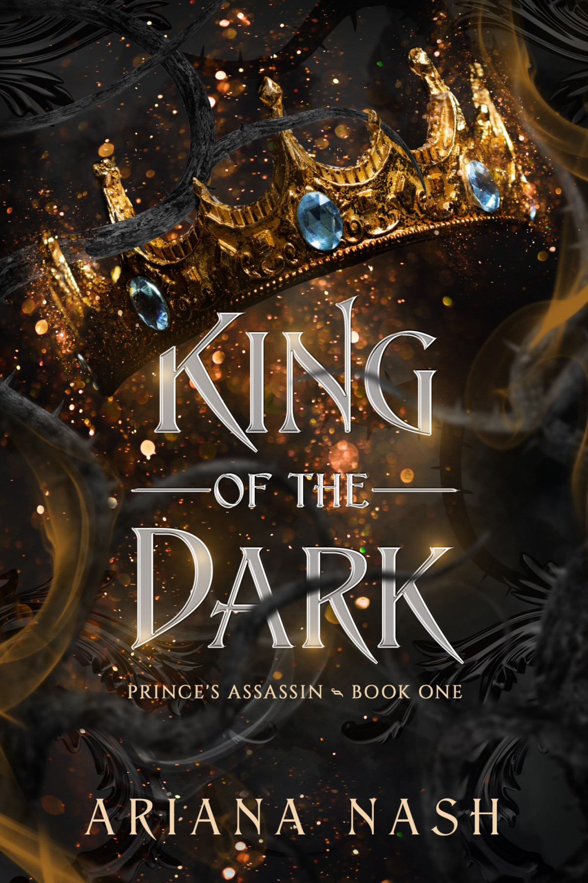 King Of The Dark Princes Assassin Book 1 Ariana Nash