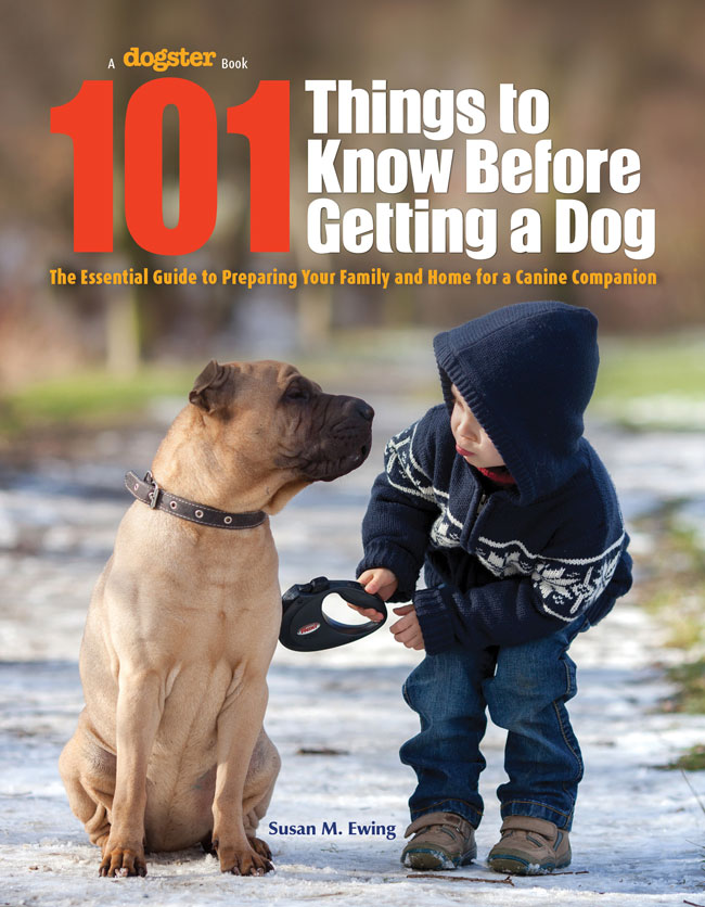 101 Things To Know Before Getting A Dog Susan M Ewing