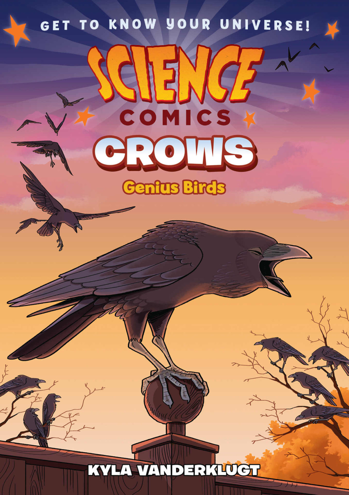 Science Comics Crows Kyla Vanderklugt