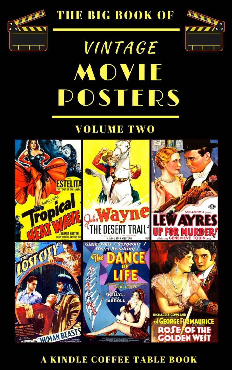 The Big Book Of Vintage Movie Posters Volume Two Delong Douglas