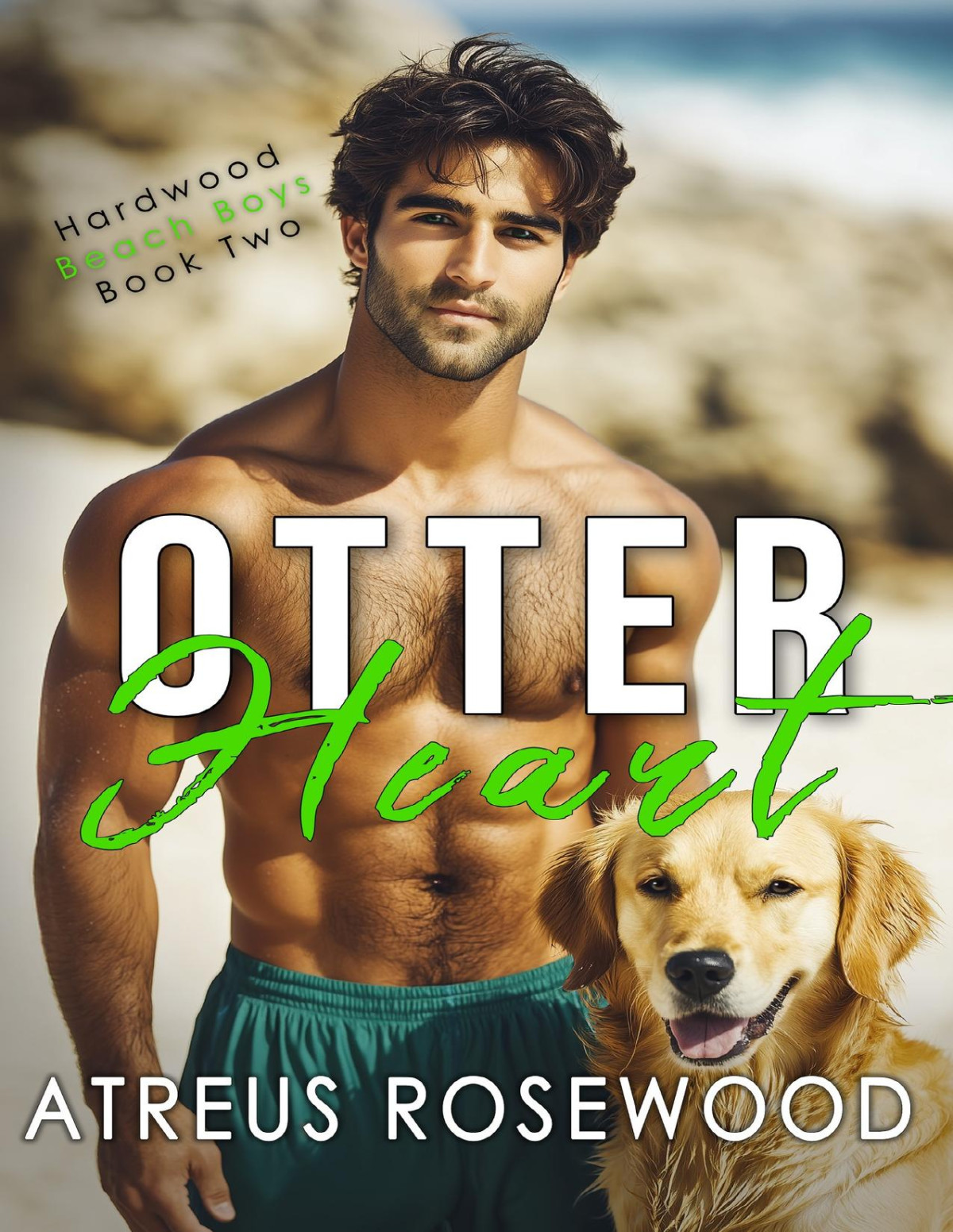 Otter Heart Gay Contemporary Beach Romance Hardwood Beach Boys Book 2 Atreus Rosewood