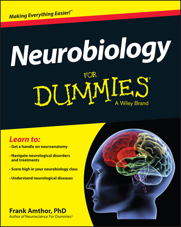 Neurobiology For Dummies Frank Amthor
