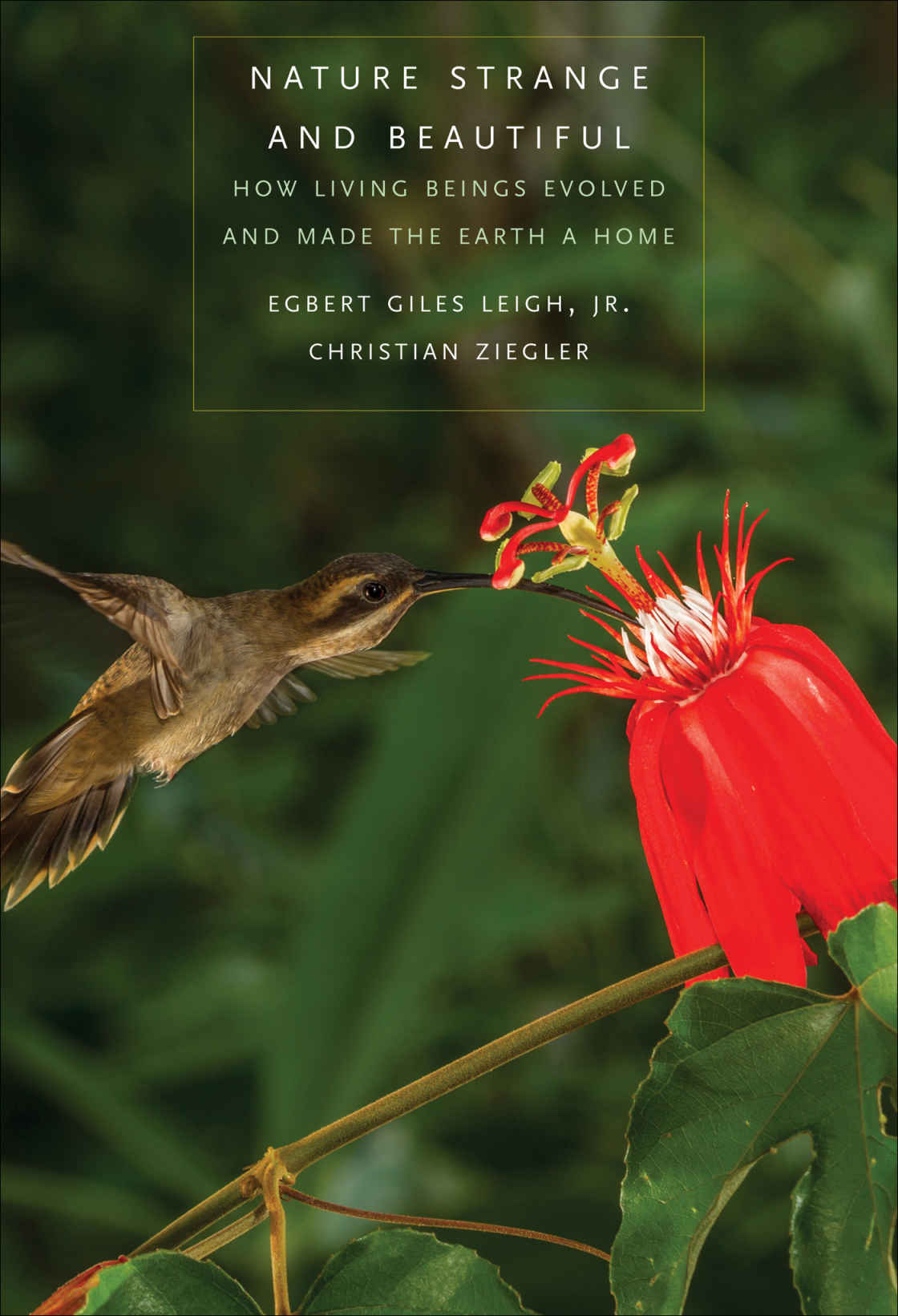 Nature Strange And Beautiful Egbert Giles Leigh Christian Ziegler