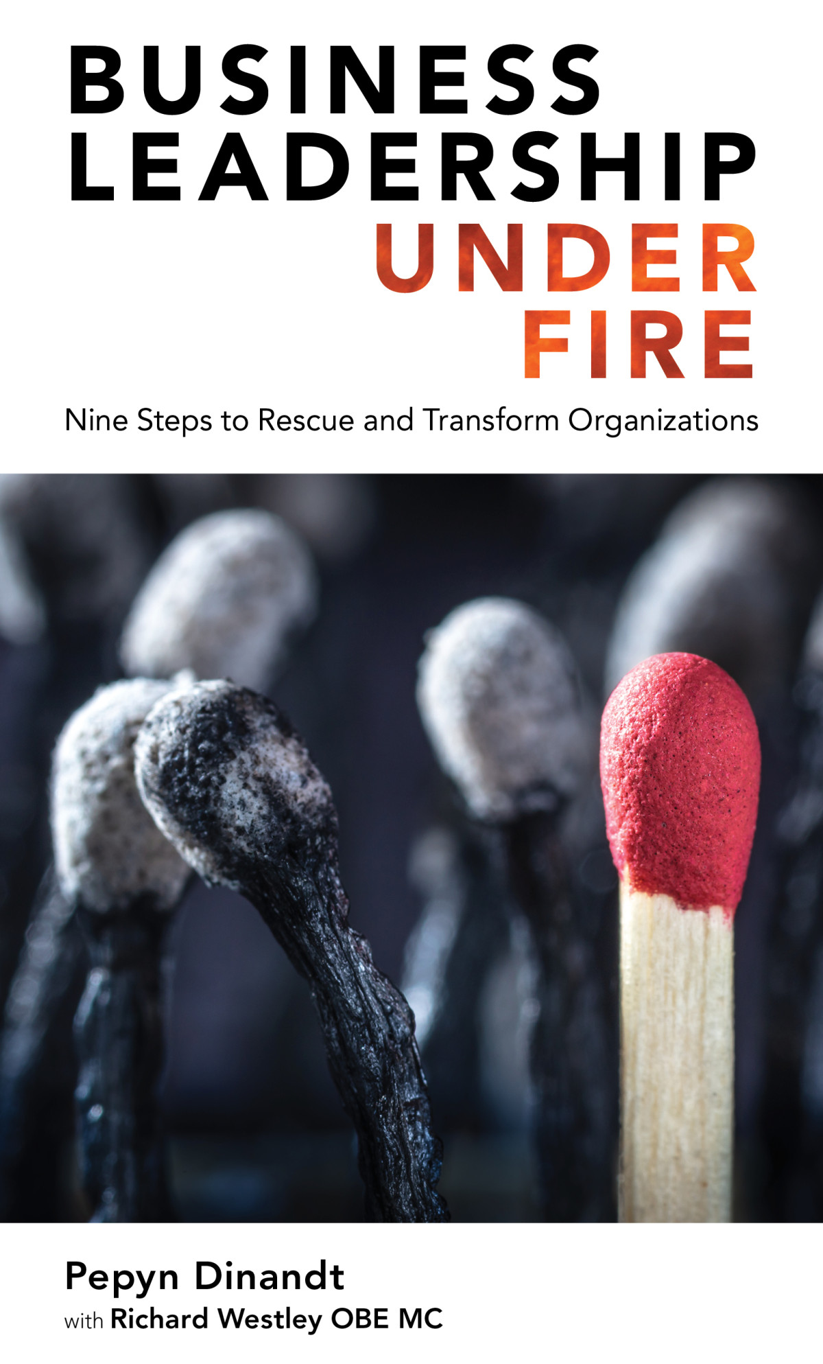 Business Leadership Under Fire Nine Steps To Rescue And Transform Organizations Dinandt