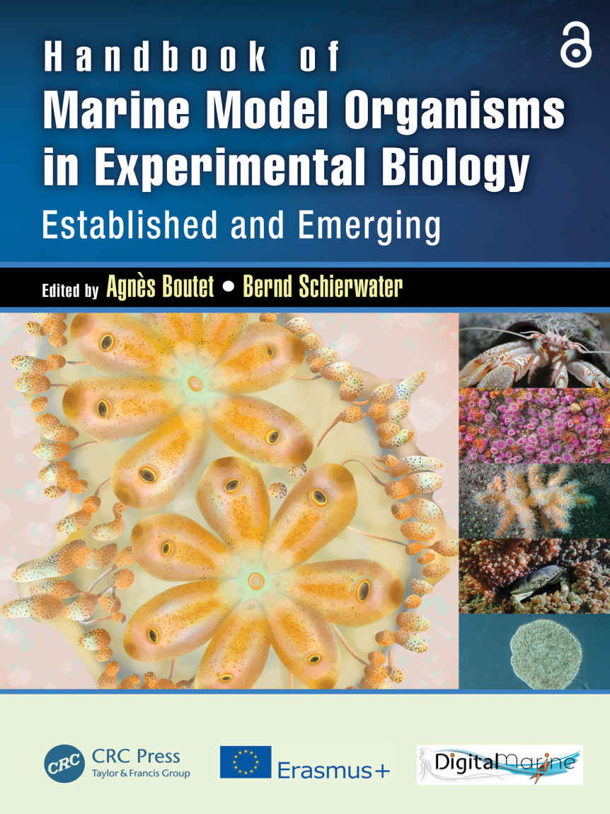 Handbook Of Marine Model Organisms In Experimental Biology Agns Boutet Bernd Schierwater