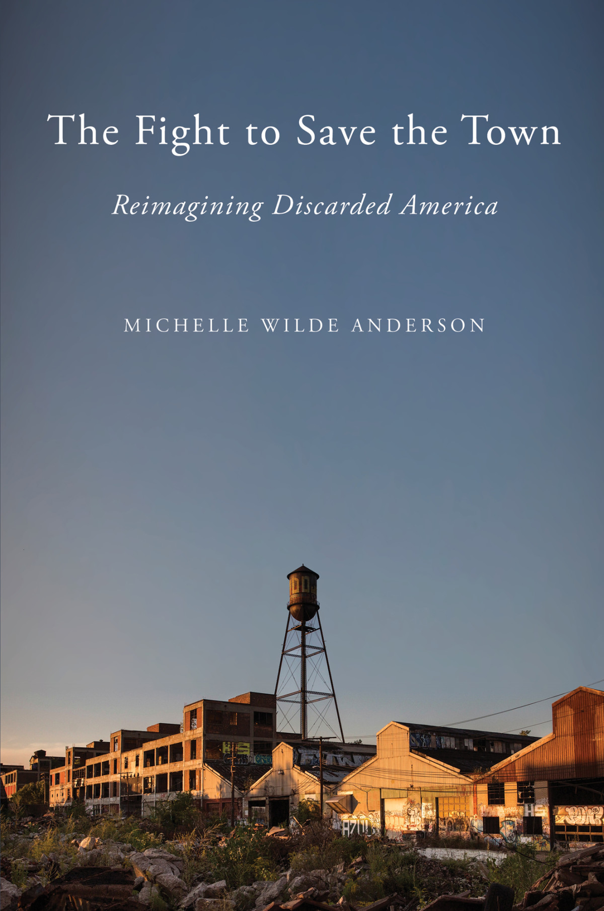 The Fight To Save The Town Reimagining Discarded America Michelle Wilde Anderson