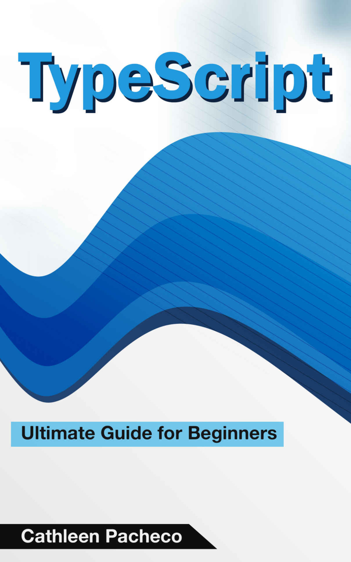 Typescript Ultimate Guide For Beginners Graham Scot