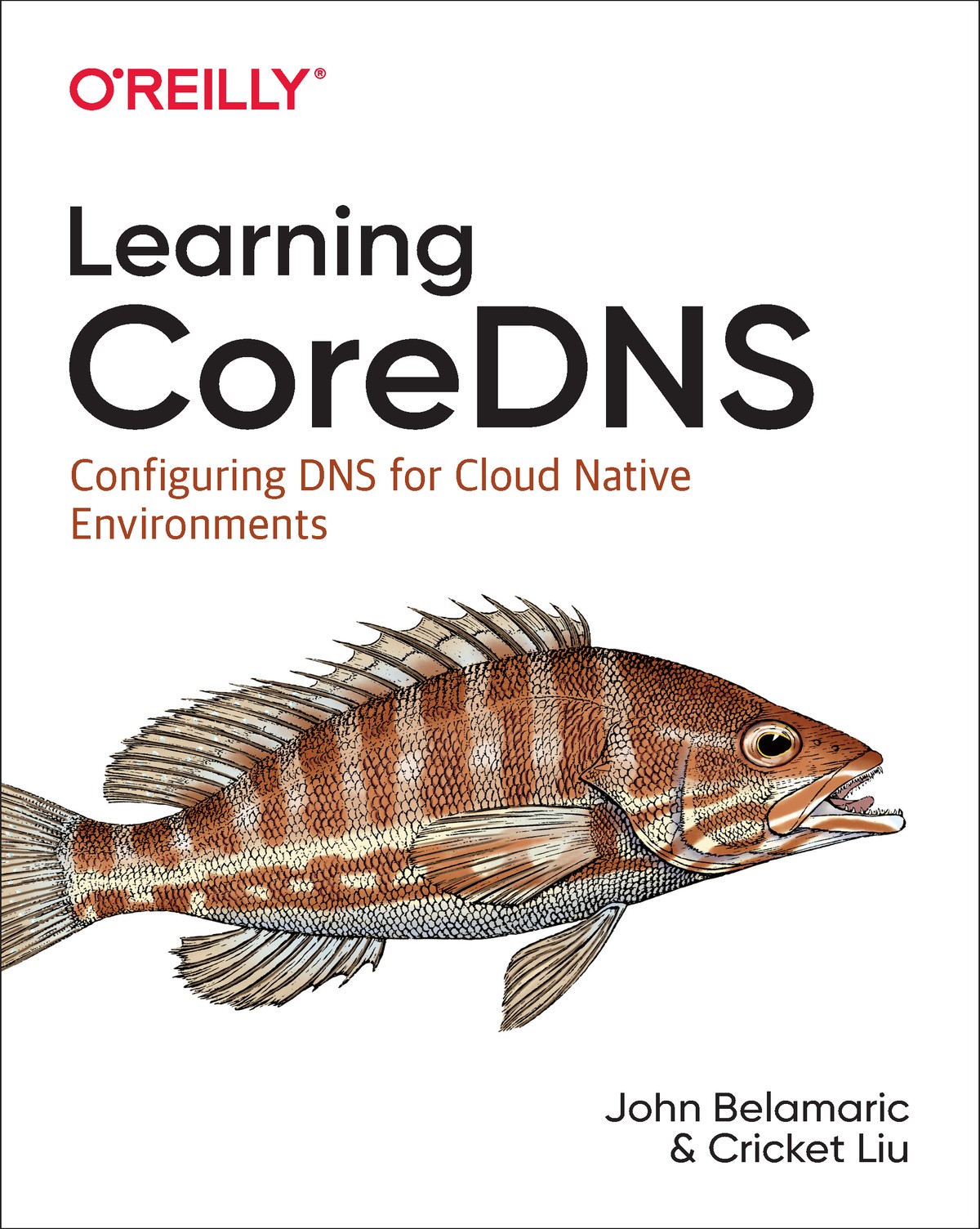 Learning Coredns John Belamaric